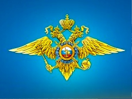 Новогодние праздники не обходятся без покупки подарков. А там где праздничная суета – там и карманные кражи 
