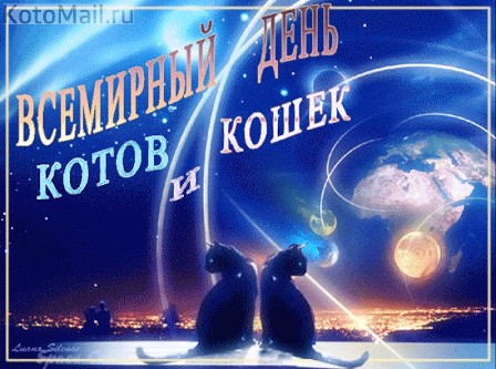 Поздравляем всех с Днём кошек!