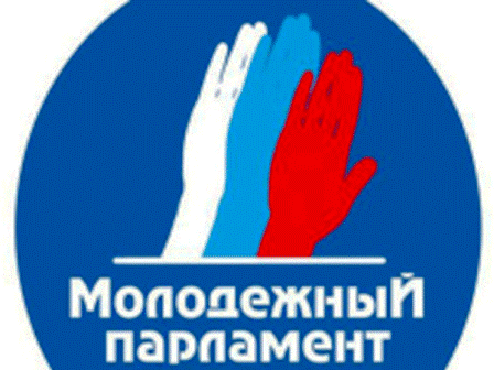 В Новогирееве формируется Молодёжная палата