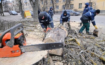 Вопросы главе управе Новогиреево
