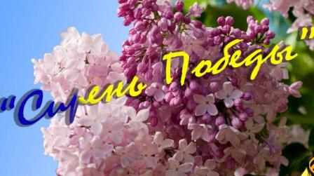 Более 700 кустов сирени будут высажены в столичных парках ко Дню Победы