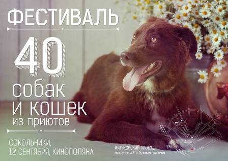 Тебе нужен настоящий друг? Приходи на фестиваль «БиМ»