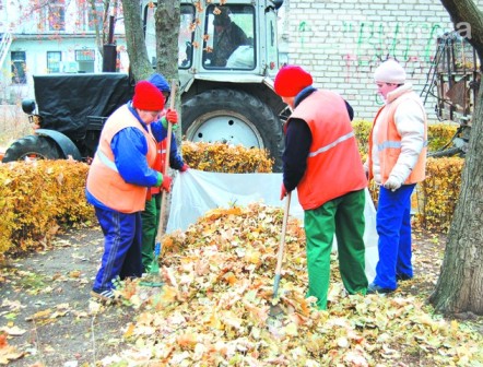 В Мосгордуме выступают за сохранение прежнего порядка уборки листвы
