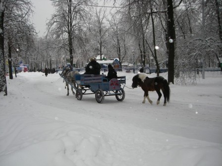 Зимний сезон в Перовском парке откроется 21 ноября