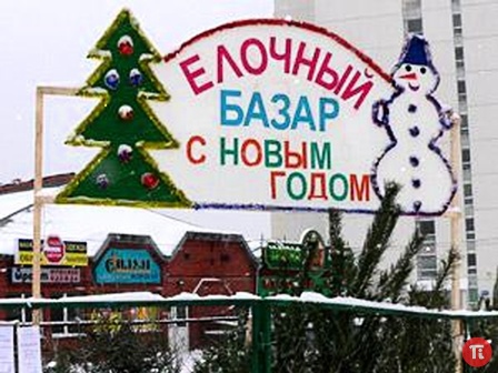 В ВАО открываются ёлочные базары