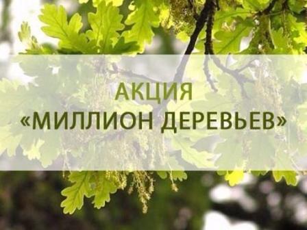 На портале «Активный гражданин» начался второй этап голосования в рамках акции «Миллион деревьев»