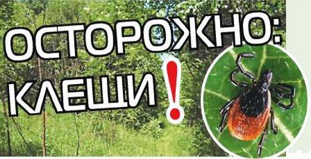 Роспотребнадзор рекомендовал москвичам осенью сделать прививку против клещевого энцефалита 