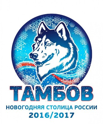 Новогодней столицей в 2017 году выбран Тамбов