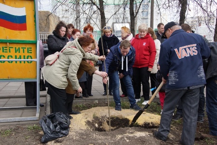 Этой весной в Новогирееве высадят 58 кустарников и 7 деревьев