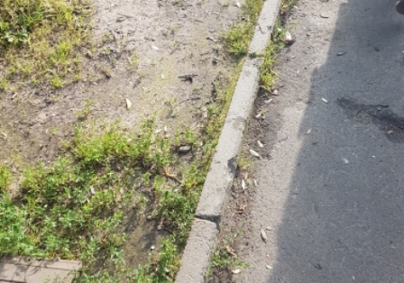 На улице Новотетёрки по заявлению жителя восстановили вытоптанный газон