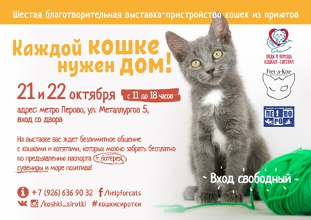 Кошки из приютов ждут новых хозяев на выставке в Перове