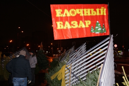 На пяти ёлочных базарах в Новогирееве можно выбрать ёлочку на любой вкус и кошелёк