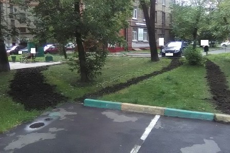 На Свободном проспекте и Новогиреевской улице восстановили затоптанные газоны