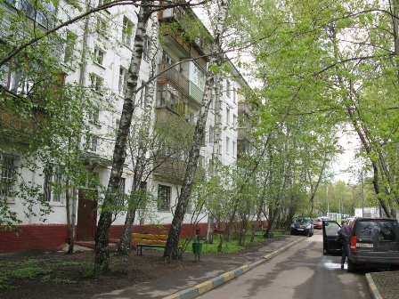 Глава управы дал разъяснения по правилам озеленения дворов