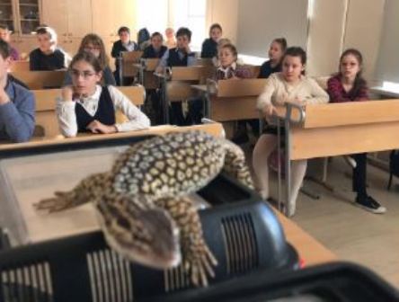 Новогиреевские школьники участвуют в необычных уроках