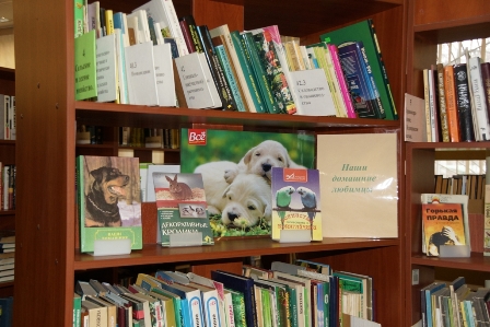 Какие книги наиболее популярны у читателей